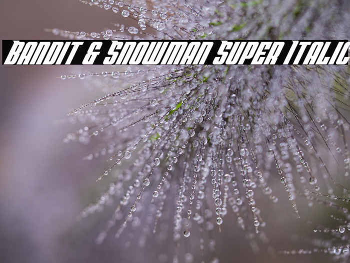 Bandit & Snowman Super Italic Example 2