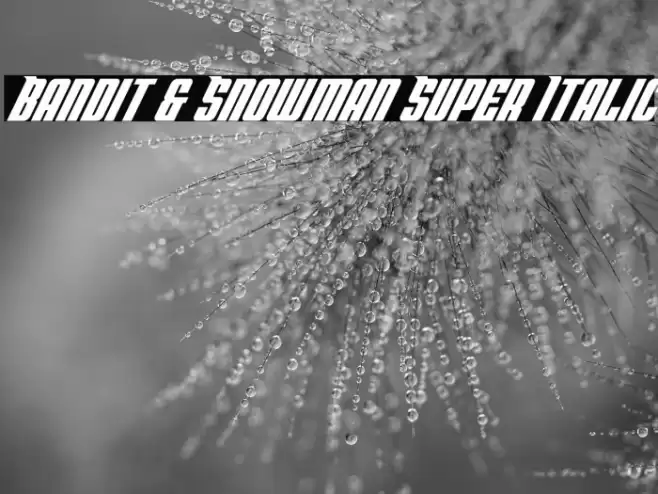Bandit & Snowman Super Italic Font examples