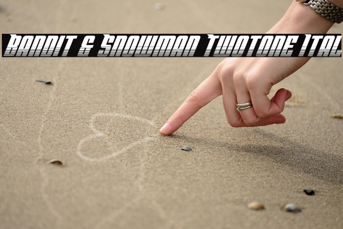 Bandit & Snowman Twotone Ital Example 1