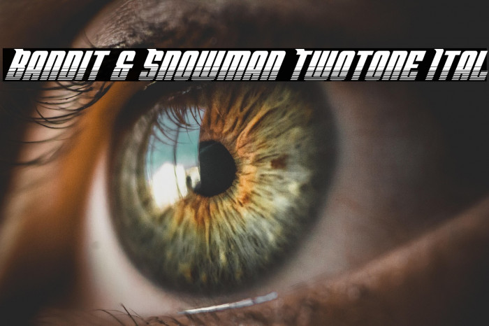 Bandit & Snowman Twotone Ital Example 2