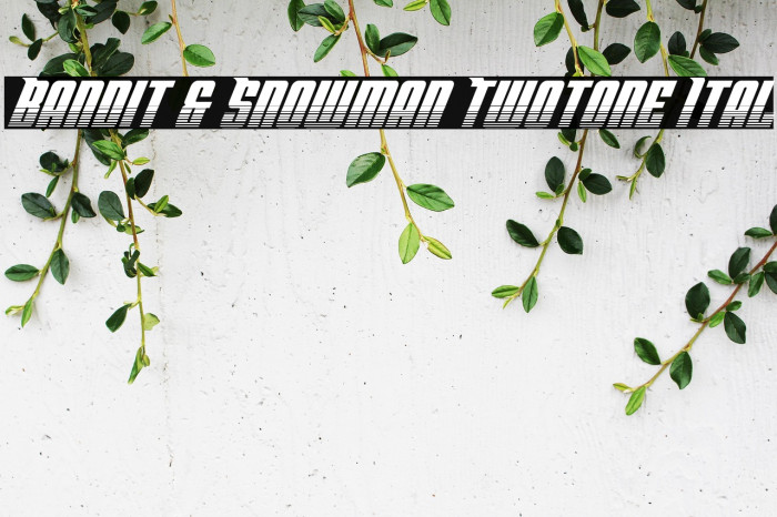 Bandit & Snowman Twotone Ital Example 3