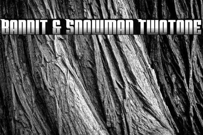 Bandit & Snowman Twotone Font examples