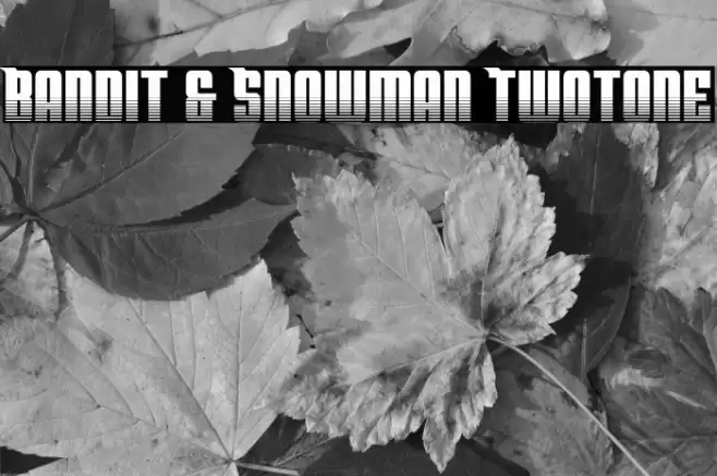 Bandit & Snowman Twotone Font examples