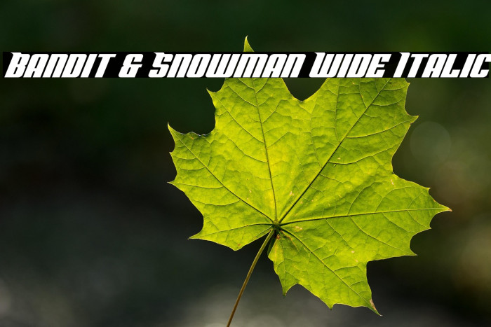 Bandit & Snowman Wide Italic Example 1