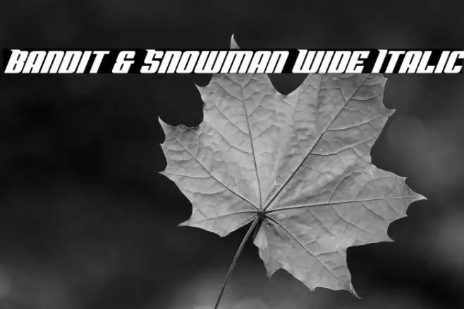 Bandit & Snowman Wide Italic Font examples