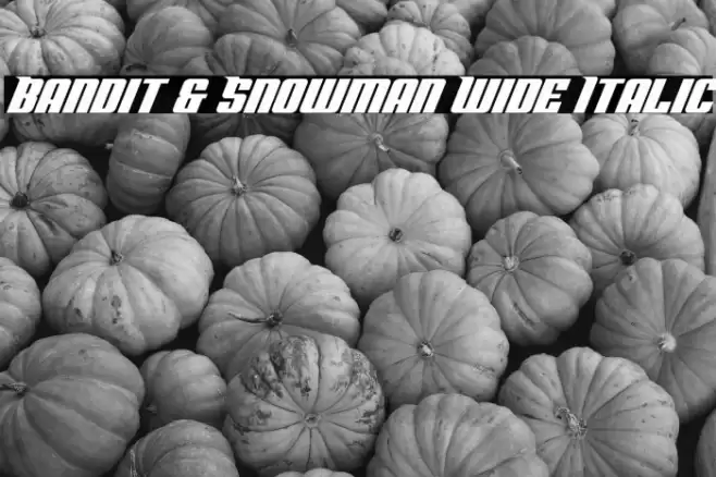 Bandit & Snowman Wide Italic Font examples