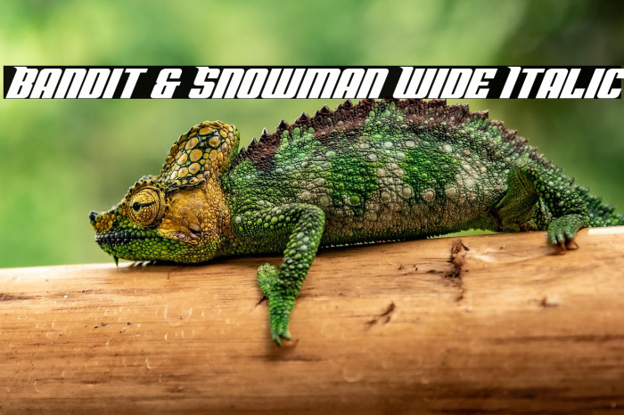 Bandit & Snowman Wide Italic Example 3