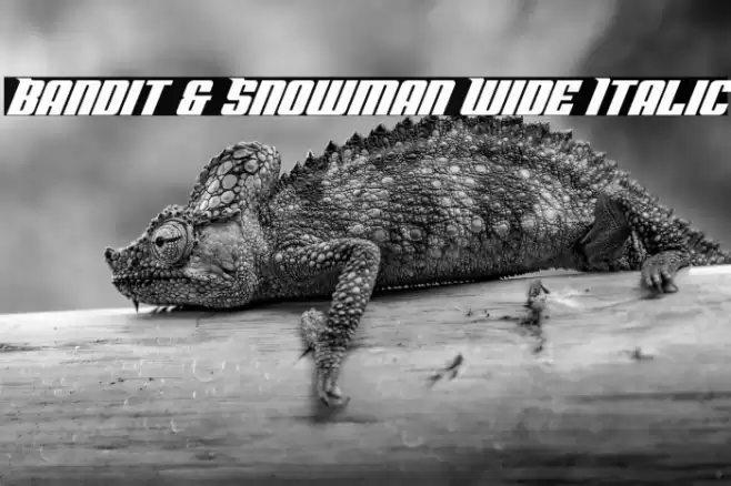 Bandit & Snowman Wide Italic Font examples