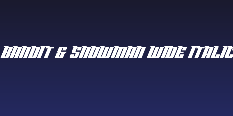 Bandit & Snowman Wide Italic Social Header