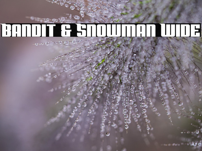 Bandit & Snowman Wide Example 1