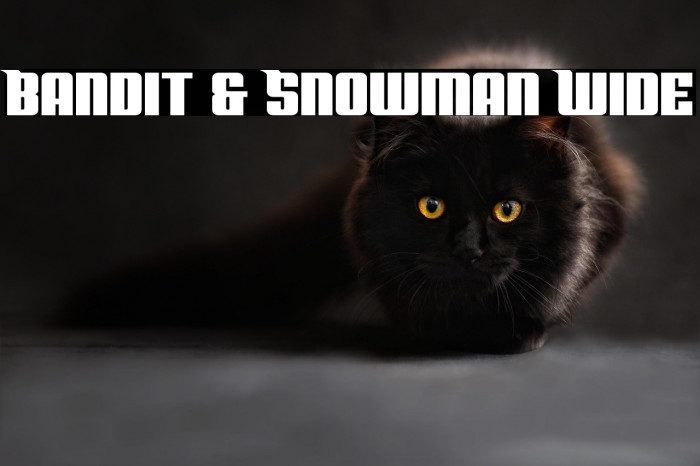 Bandit & Snowman Wide Example 2