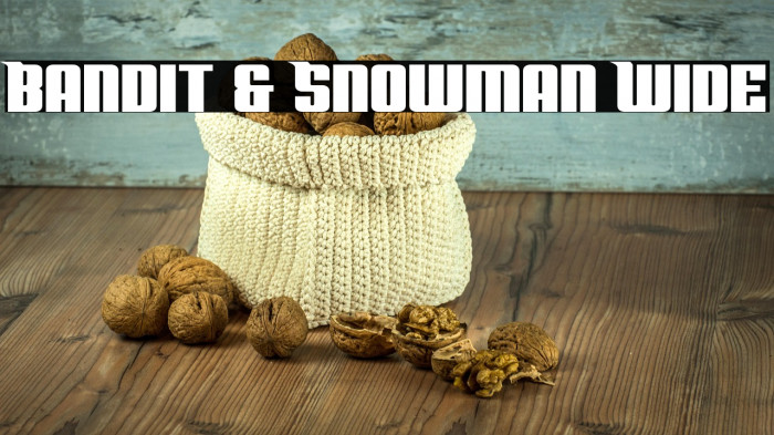 Bandit & Snowman Wide Example 3