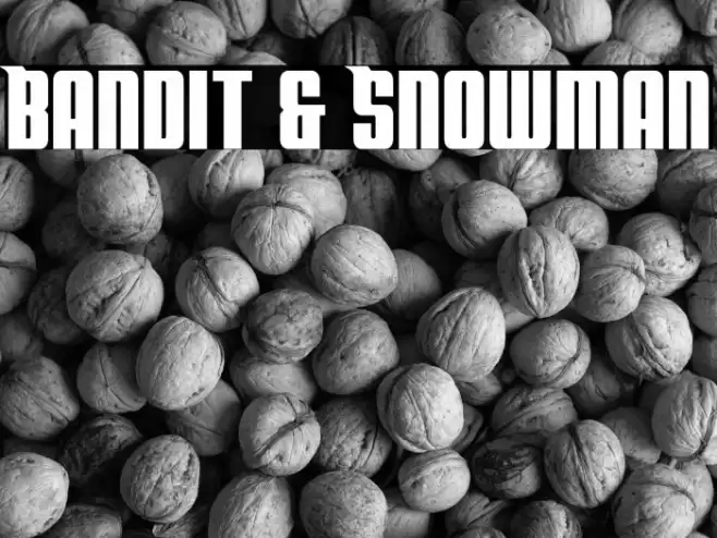 Bandit & Snowman Font examples