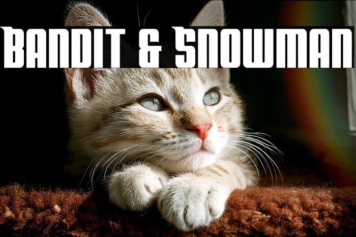 Bandit & Snowman Example 3