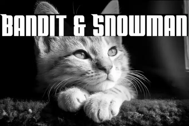 Bandit & Snowman Font examples