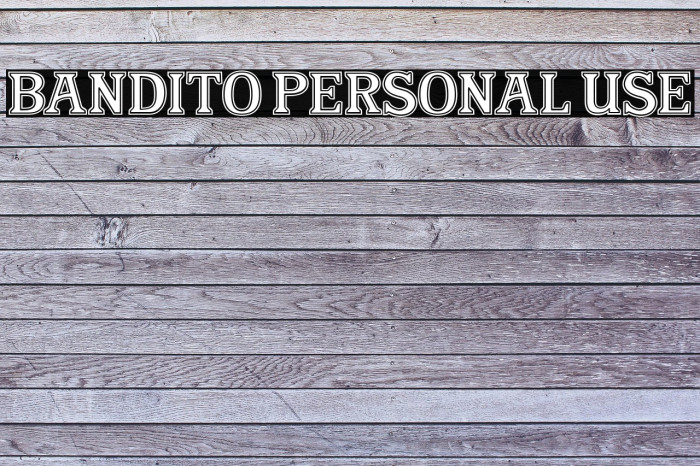 Bandito Personal Use Example 1