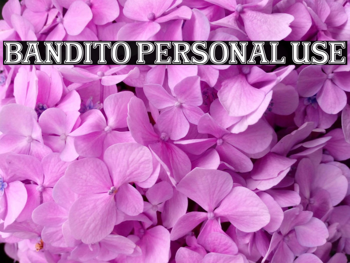 Bandito Personal Use Example 2