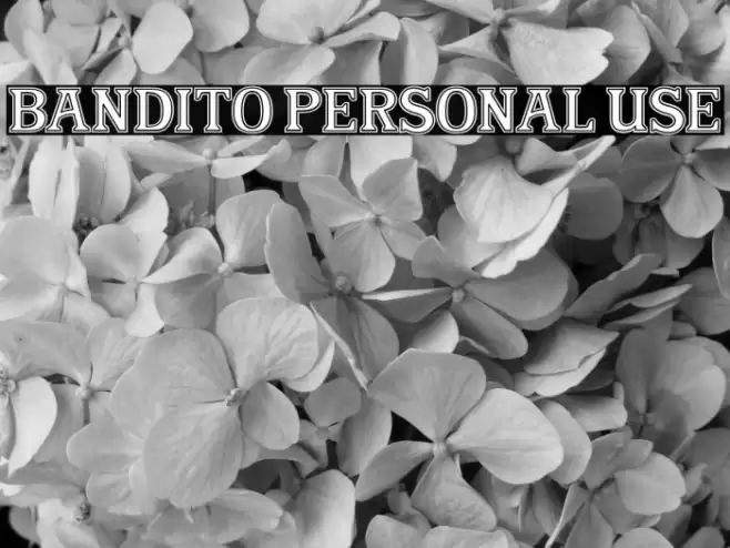 Bandito Personal Use Caratteri examples