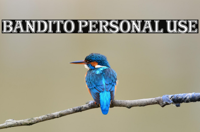 Bandito Personal Use Example 3