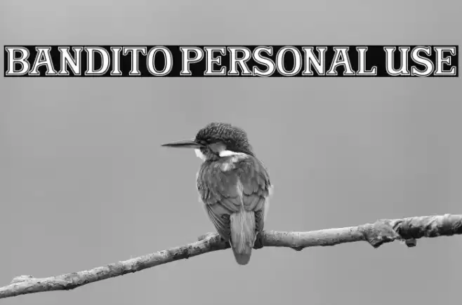 Bandito Personal Use Caratteri examples