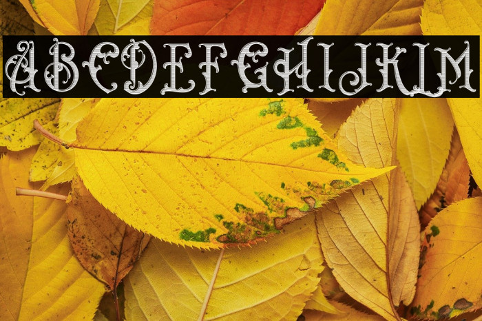 Bandits Striped Example 2