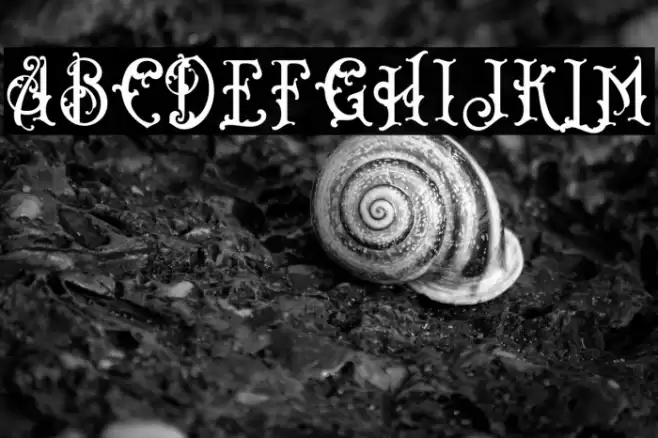 Bandits Font examples