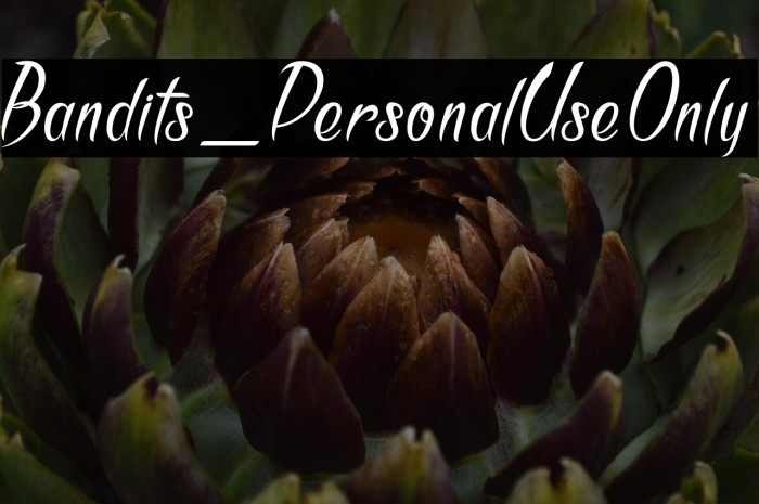 Bandits_PersonalUseOnly Example 1