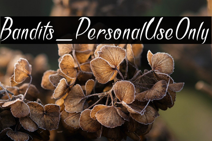 Bandits_PersonalUseOnly Example 3