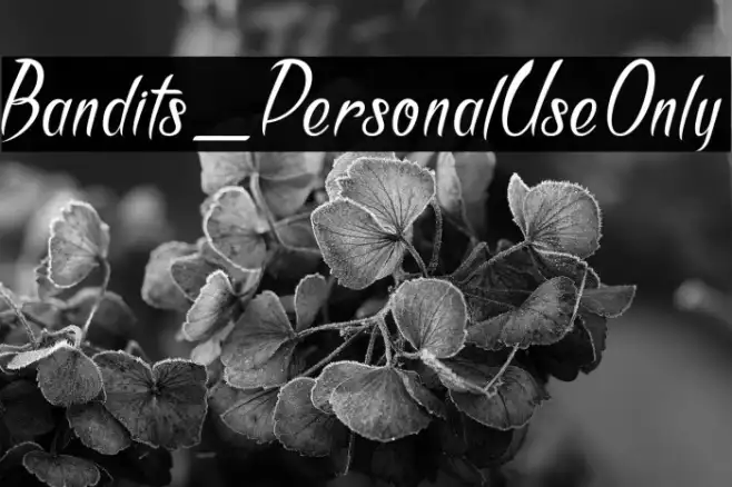 Bandits_PersonalUseOnly Example 3