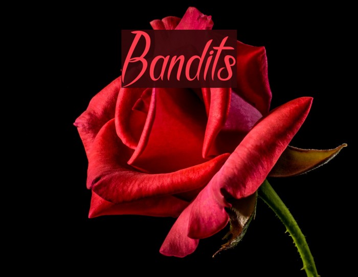Bandits Font examples