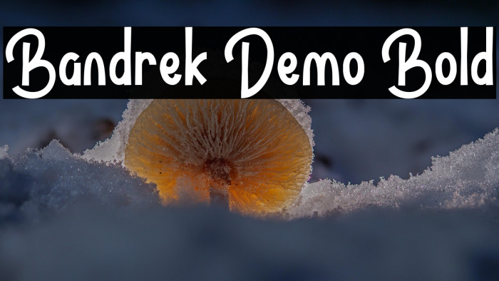 Bandrek Demo Bold Example 2