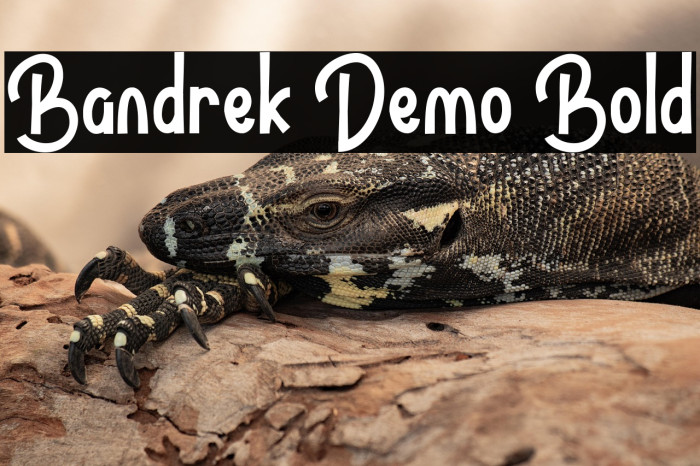 Bandrek Demo Bold Example 3