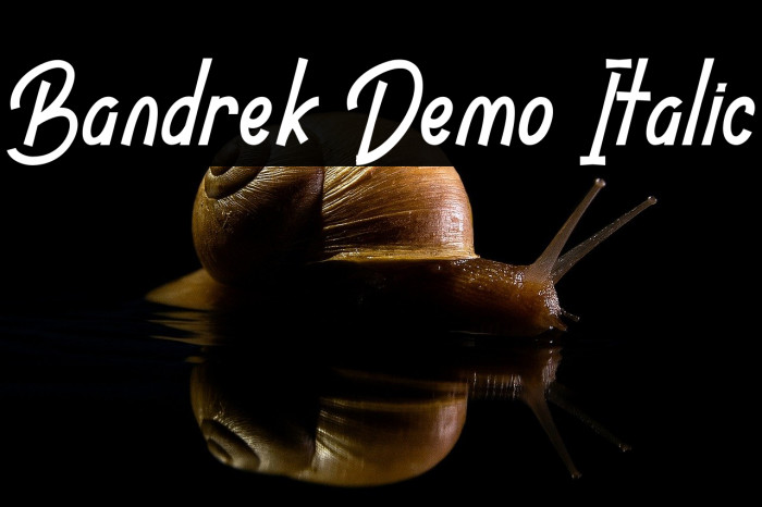 Bandrek Demo Italic Example 1
