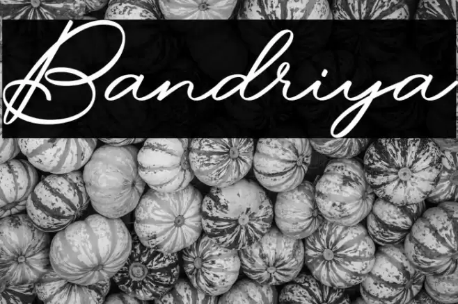 Bandriya 字体 examples