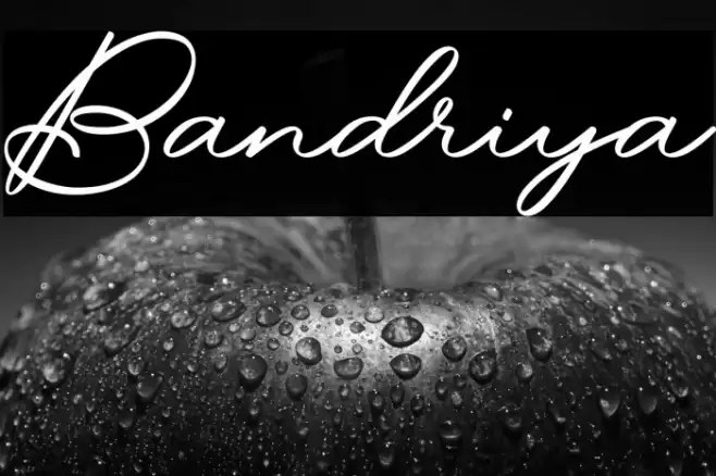 Bandriya 字体 examples