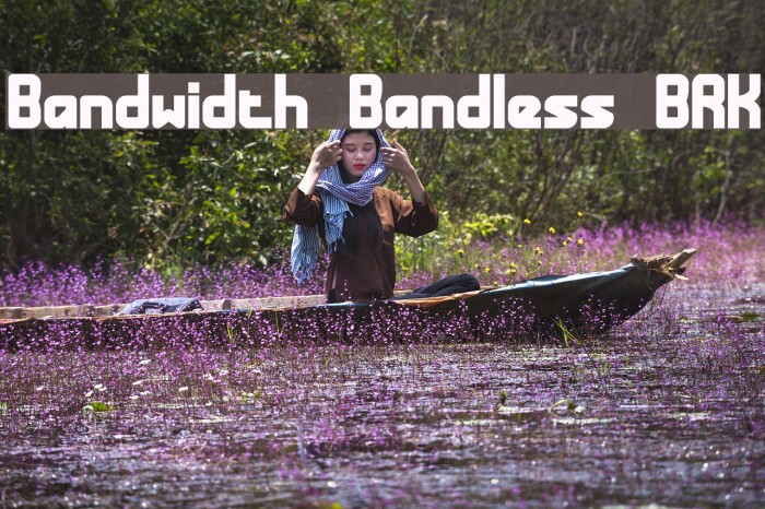 Bandwidth Bandless BRK フォント examples