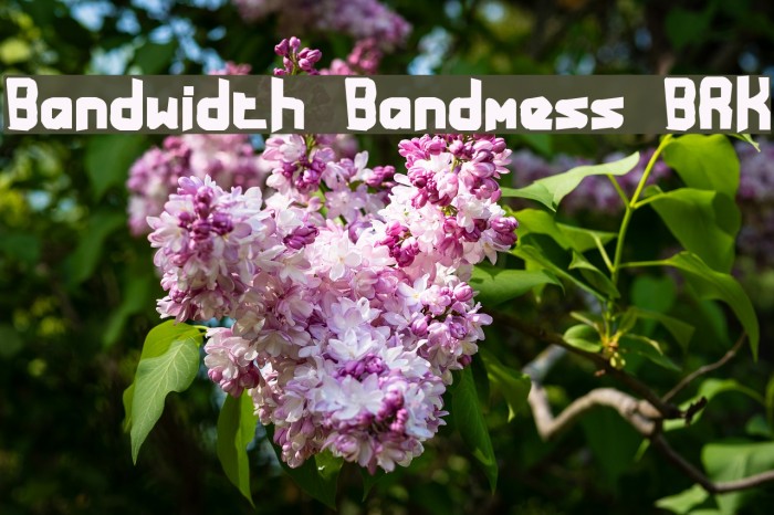 Bandwidth Bandmess BRK Caratteri examples