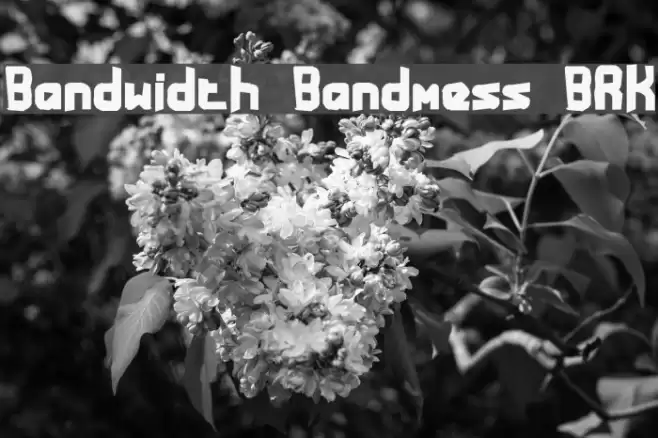 Bandwidth Bandmess BRK Caratteri examples