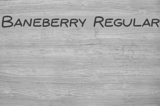 Baneberry Regular Font examples