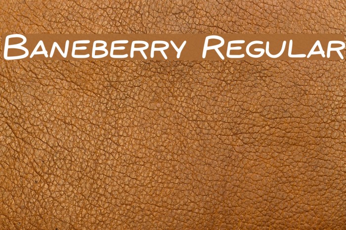 Baneberry Regular Шрифта examples