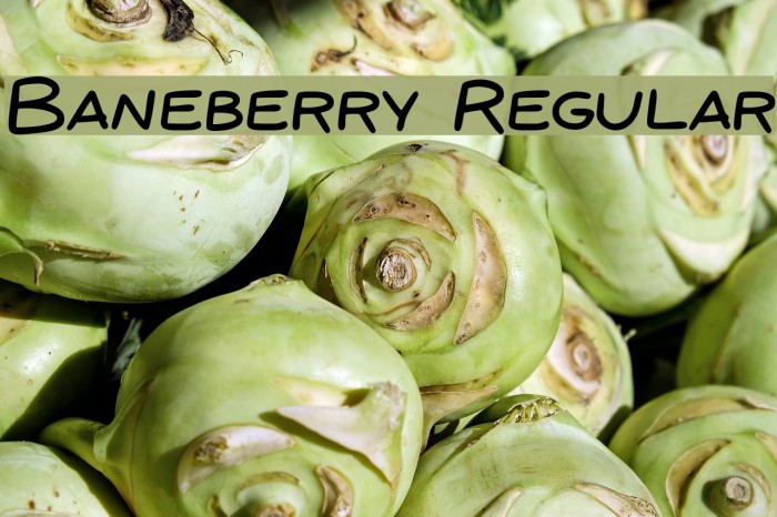 Baneberry Regular Шрифта examples