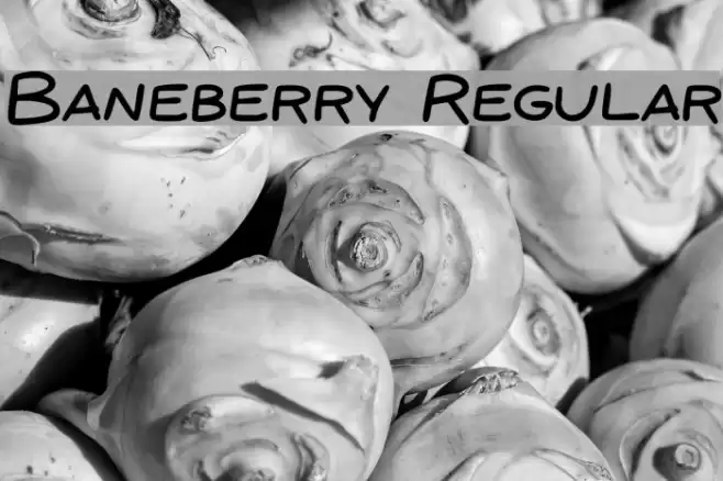 Baneberry Regular Font examples