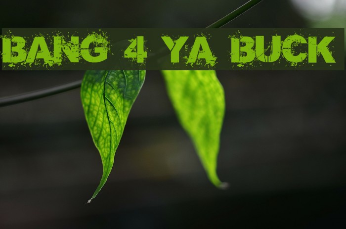 Bang 4 Ya Buck لخطوط تنزيل examples