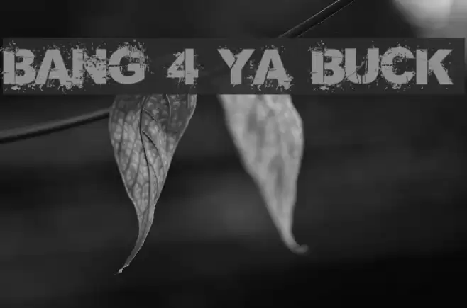 Bang 4 Ya Buck Font examples