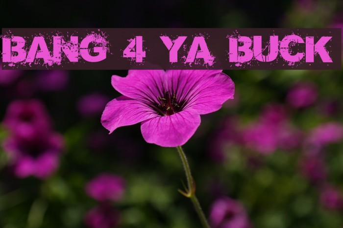 Bang 4 Ya Buck لخطوط تنزيل examples