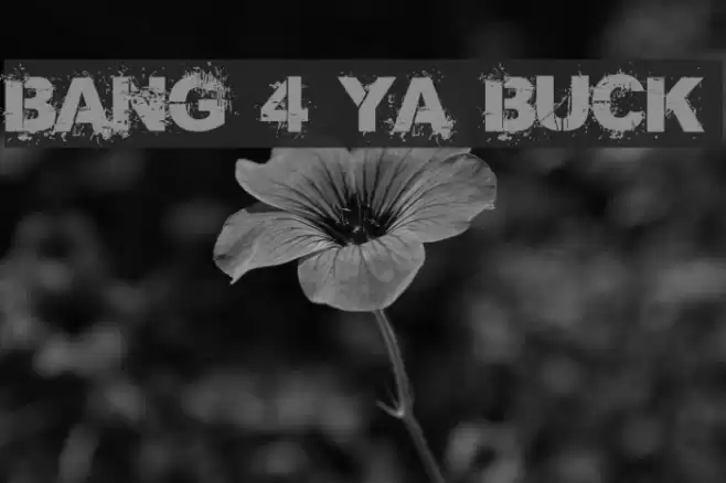 Bang 4 Ya Buck Font examples