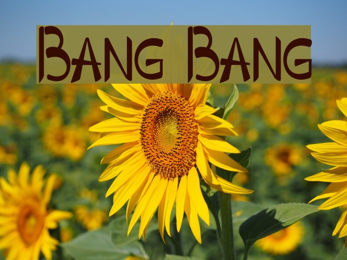 Bang Bang Font