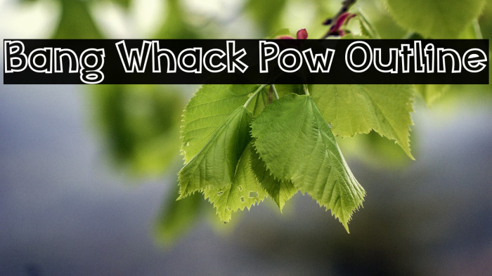 Bang Whack Pow Outline Caratteri examples