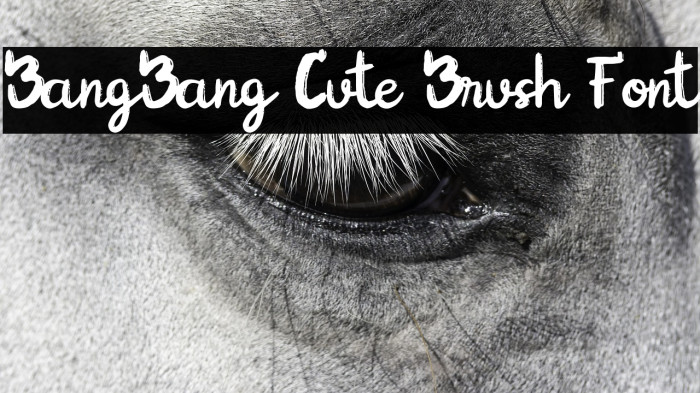 BangBang Cute Brush Font Example 2