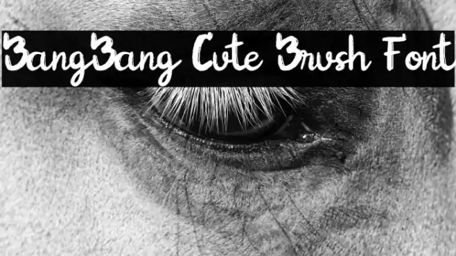 BangBang Cute Brush Font Font examples